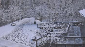 Weather camera view of Lake Roland Nature Council.