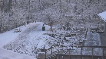Weather camera view of Lake Roland Nature Council.