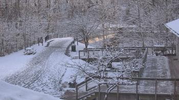 Weather camera view of Lake Roland Nature Council.