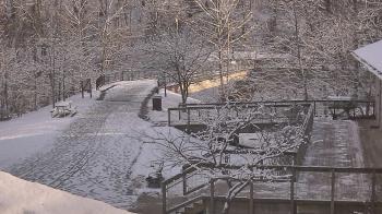 Weather camera view of Lake Roland Nature Council.