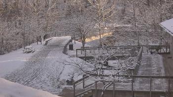 Weather camera view of Lake Roland Nature Council.