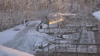 Weather camera view of Lake Roland Nature Council.