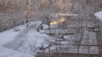 Weather camera view of Lake Roland Nature Council.