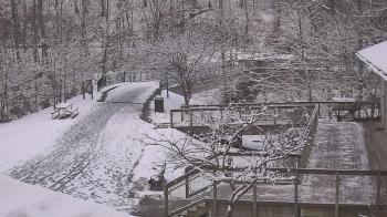 Weather camera view of Lake Roland Nature Council.