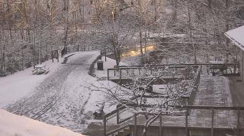 Weather camera view of Lake Roland Nature Council.