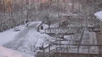Weather camera view of Lake Roland Nature Council.