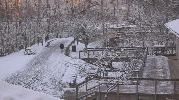 Weather camera view of Lake Roland Nature Council.