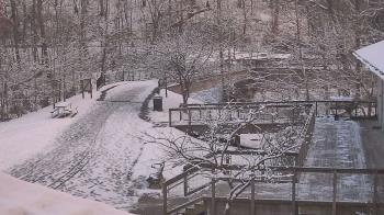 Weather camera view of Lake Roland Nature Council.
