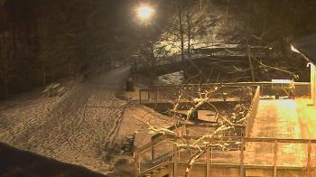 Weather camera view of Lake Roland Nature Council.