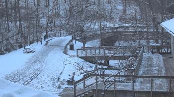 Weather camera view of Lake Roland Nature Council.