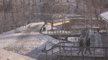 Weather camera view of Lake Roland Nature Council.