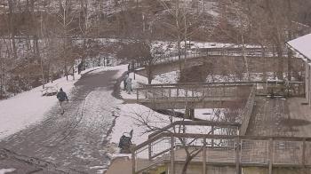 Weather camera view of Lake Roland Nature Council.