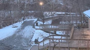 Weather camera view of Lake Roland Nature Council.