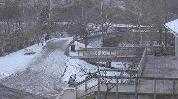 Weather camera view of Lake Roland Nature Council.