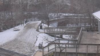 Weather camera view of Lake Roland Nature Council.