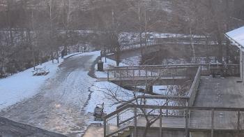 Weather camera view of Lake Roland Nature Council.