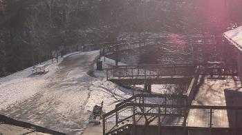 Weather camera view of Lake Roland Nature Council.