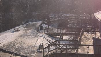 Weather camera view of Lake Roland Nature Council.
