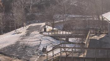 Weather camera view of Lake Roland Nature Council.