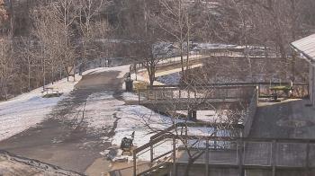 Weather camera view of Lake Roland Nature Council.