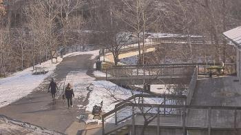 Weather camera view of Lake Roland Nature Council.
