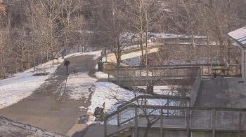 Weather camera view of Lake Roland Nature Council.