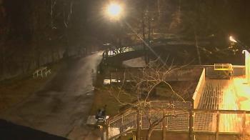 Weather camera view of Lake Roland Nature Council.