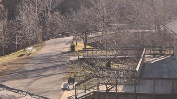 Weather camera view of Lake Roland Nature Council.