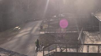 Weather camera view of Lake Roland Nature Council.