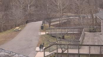 Weather camera view of Lake Roland Nature Council.