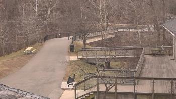 Weather camera view of Lake Roland Nature Council.