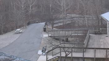 Weather camera view of Lake Roland Nature Council.