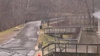 Weather camera view of Lake Roland Nature Council.