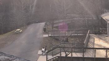 Weather camera view of Lake Roland Nature Council.