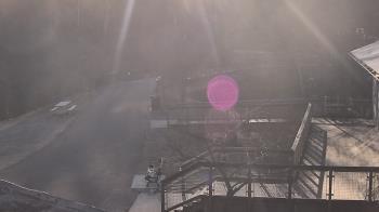 Weather camera view of Lake Roland Nature Council.