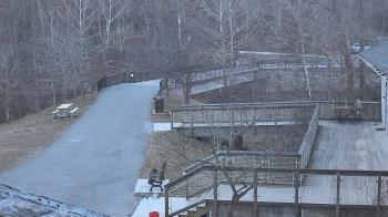 Weather camera view of Lake Roland Nature Council.