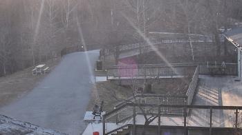 Weather camera view of Lake Roland Nature Council.