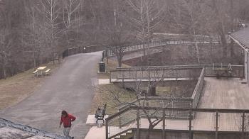 Weather camera view of Lake Roland Nature Council.