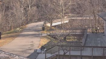 Weather camera view of Lake Roland Nature Council.