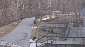 Weather camera view of Lake Roland Nature Council.
