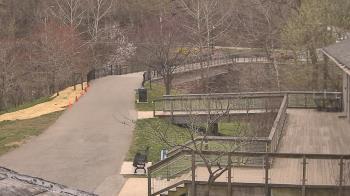 Weather camera view of Lake Roland Nature Council.