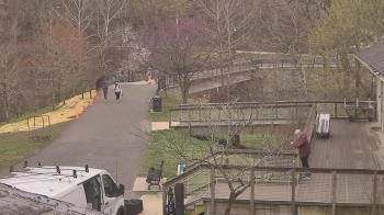 Weather camera view of Lake Roland Nature Council.