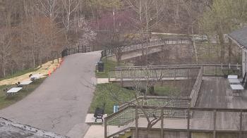 Weather camera view of Lake Roland Nature Council.