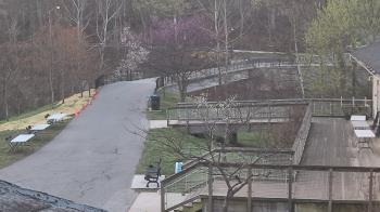 Weather camera view of Lake Roland Nature Council.