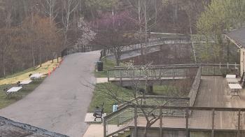 Weather camera view of Lake Roland Nature Council.