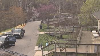 Weather camera view of Lake Roland Nature Council.