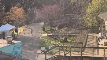 Weather camera view of Lake Roland Nature Council.