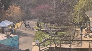 Weather camera view of Lake Roland Nature Council.