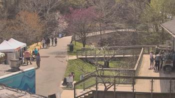 Weather camera view of Lake Roland Nature Council.