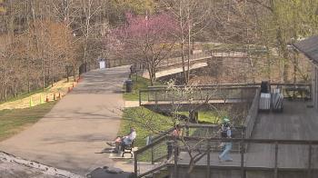 Weather camera view of Lake Roland Nature Council.